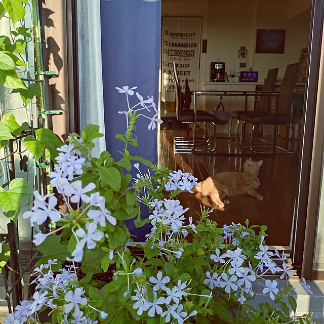 NOAHさんの実例写真