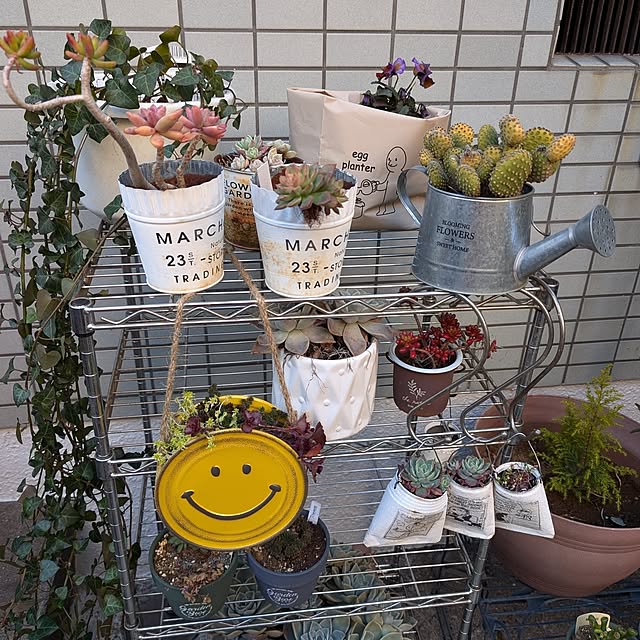 milk_hana_さんの部屋