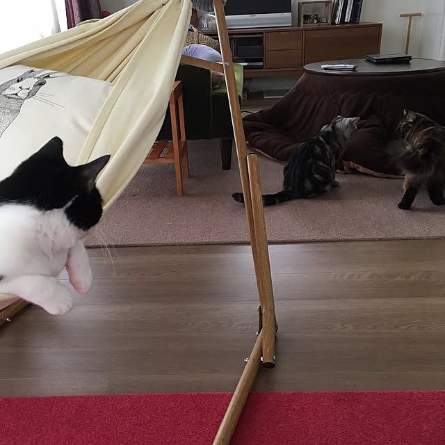 mikomaruさんの実例写真