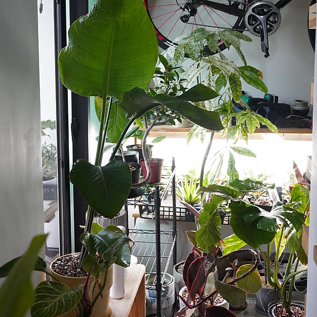 ss.my_homeさんの部屋