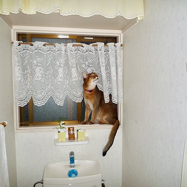 tanutanさんの実例写真