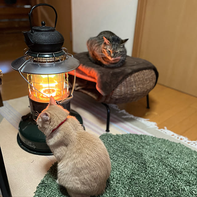 mikan161さんの実例写真