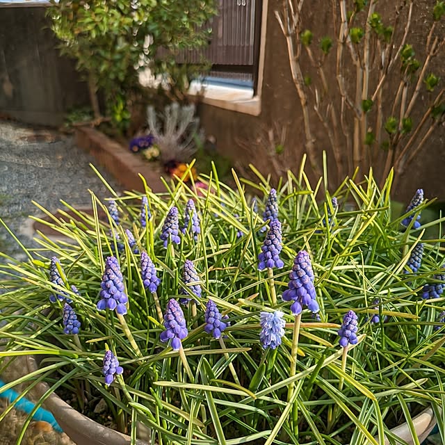 Renさんの実例写真