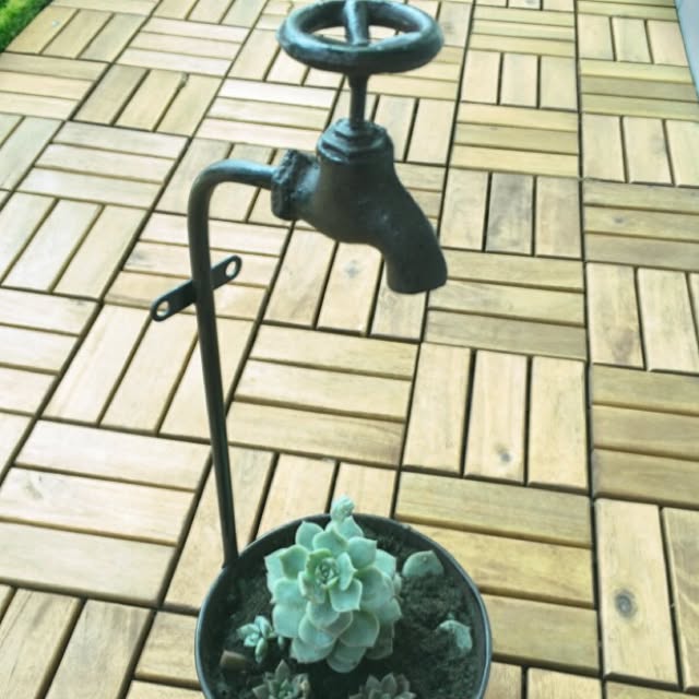 PetitoFululuさんの実例写真