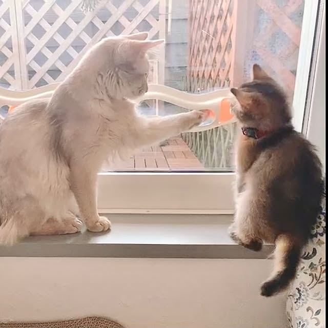 paradise_viewさんの実例写真