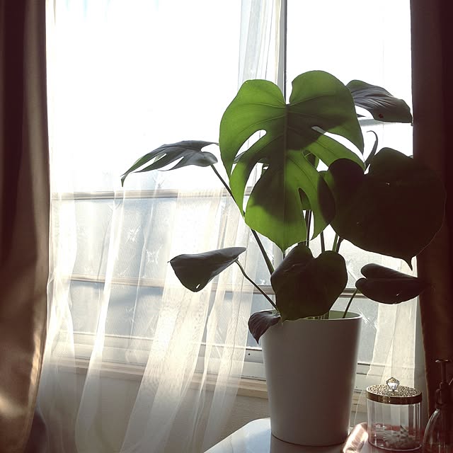 sakielさんの実例写真