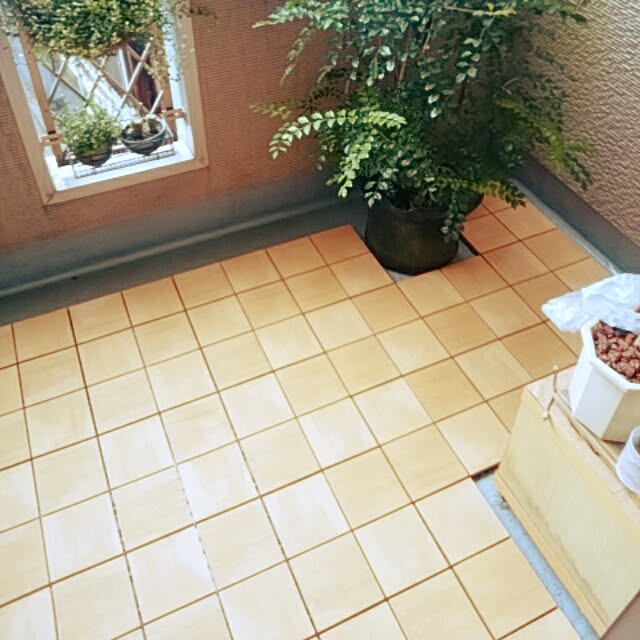 reonさんの実例写真