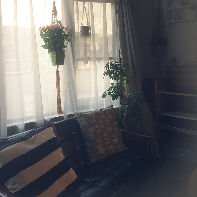 cohさんの実例写真