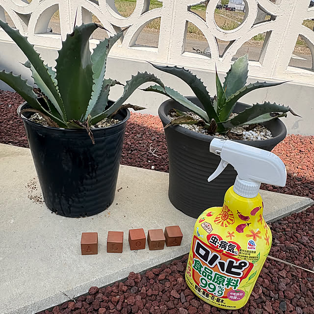 RYOさんの実例写真