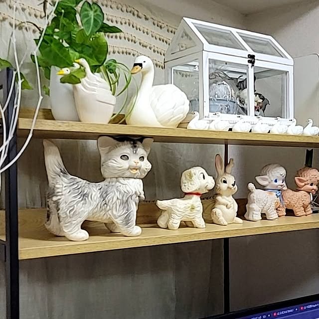 ANTENNAさんの実例写真