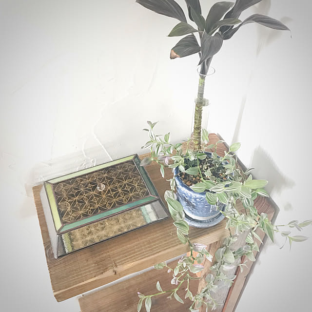 kiwi_peaさんの実例写真