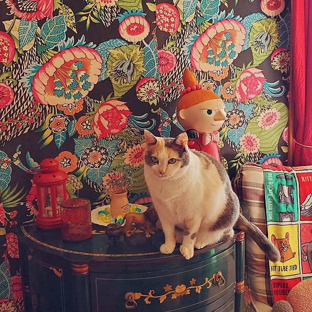 kumutanさんの実例写真