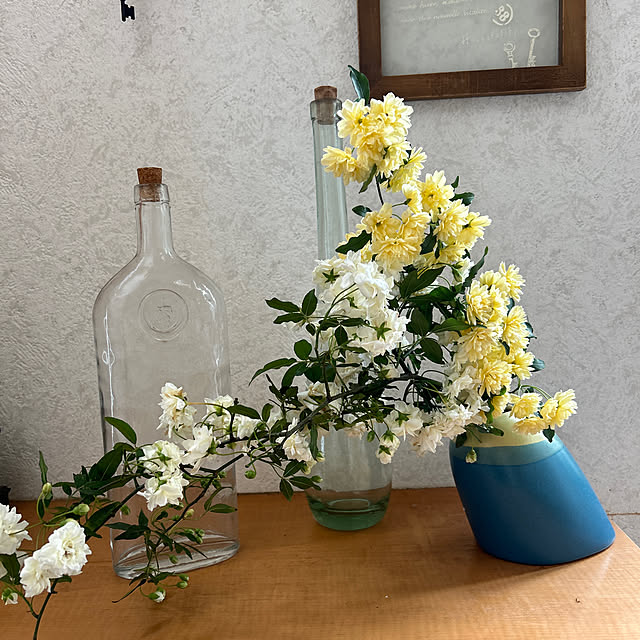 miicyanさんの実例写真