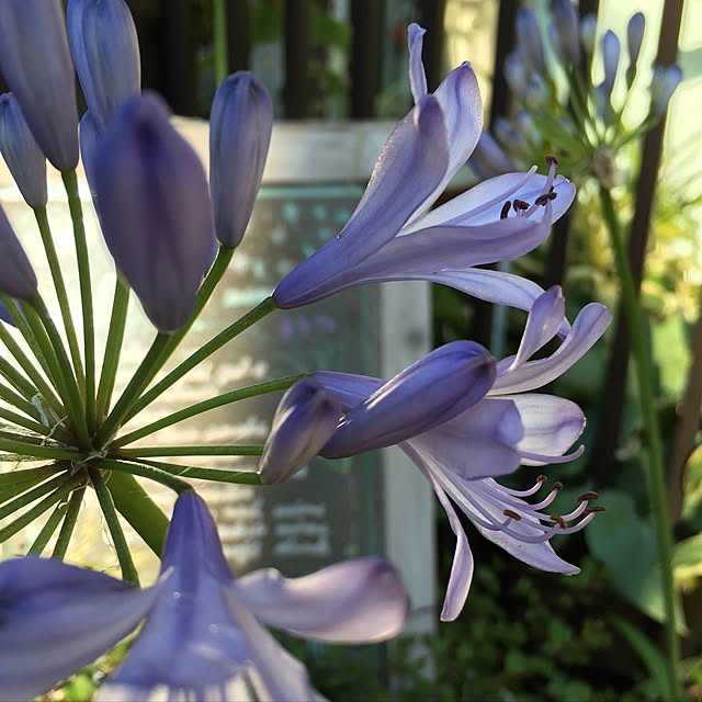 frostyさんの実例写真