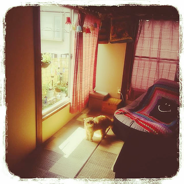 minaさんの実例写真