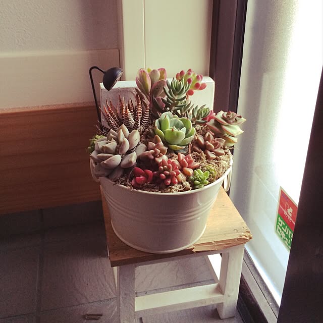 実例写真