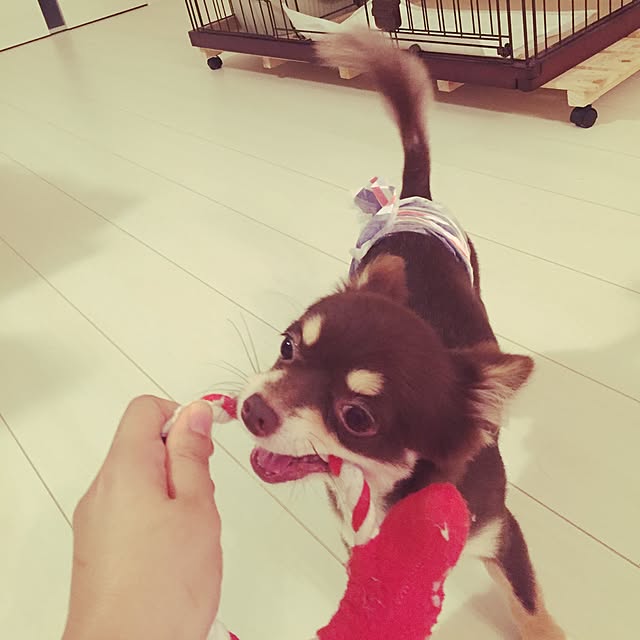 ya---iさんの実例写真
