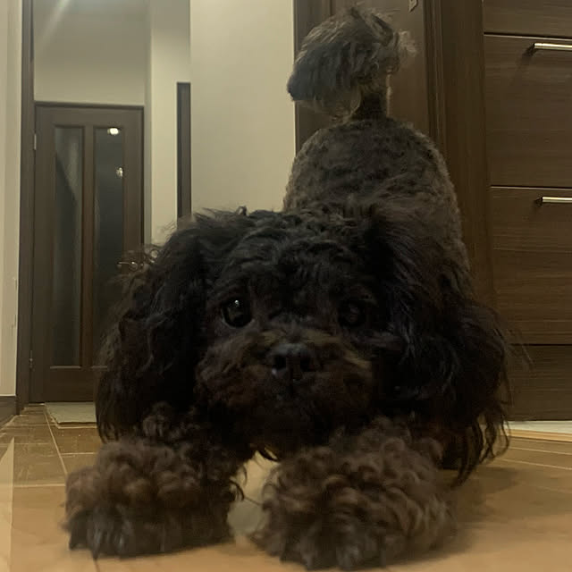 NishiFamilyさんの実例写真