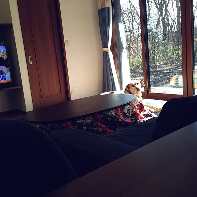 Annieさんの実例写真