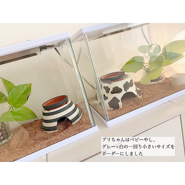 chaluさんの実例写真