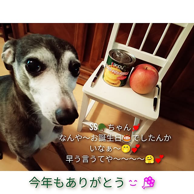 moruさんの部屋