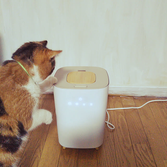 yukieさんの実例写真