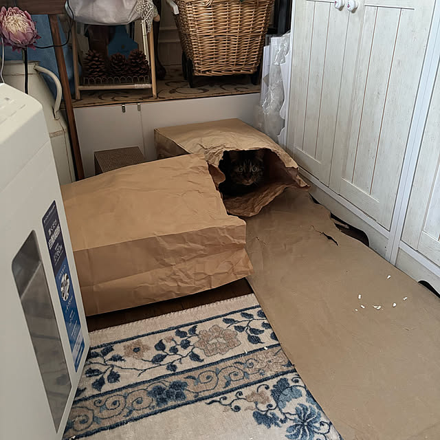 momocchiさんの部屋
