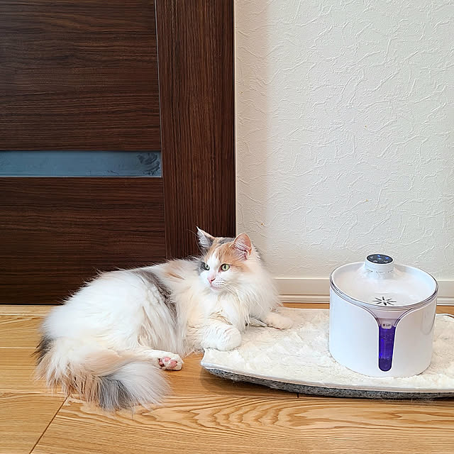 akiko6193さんの実例写真
