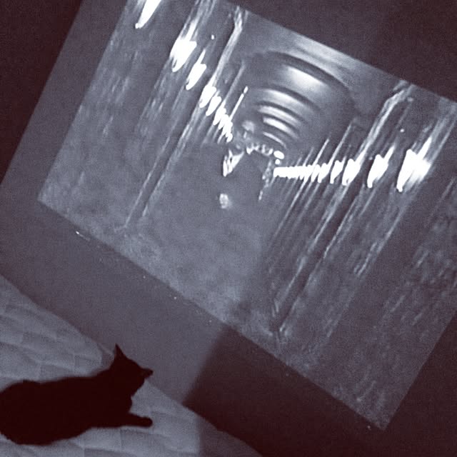 blkさんの実例写真