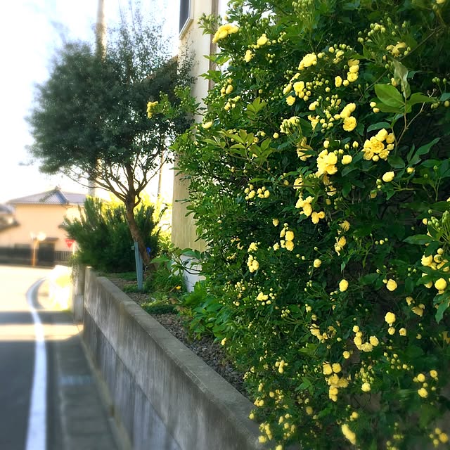 shio2772さんの実例写真