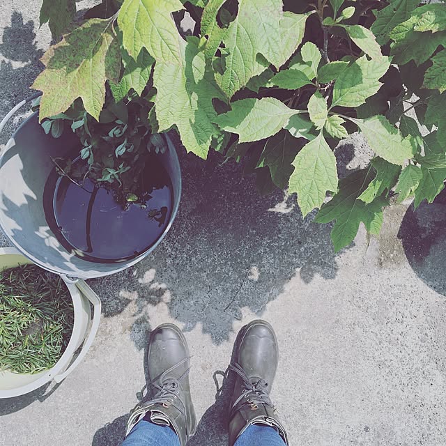 andFIELDS_homeさんの実例写真