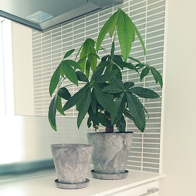 hanaさんの実例写真