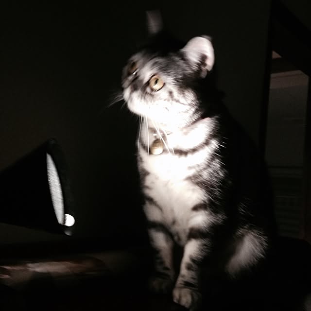 fuku48さんの実例写真