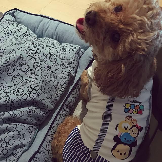 norinoriさんの実例写真