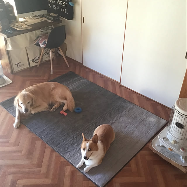 328さんの実例写真