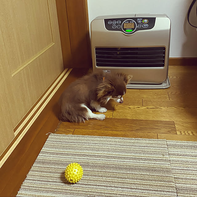 chIoeさんの実例写真