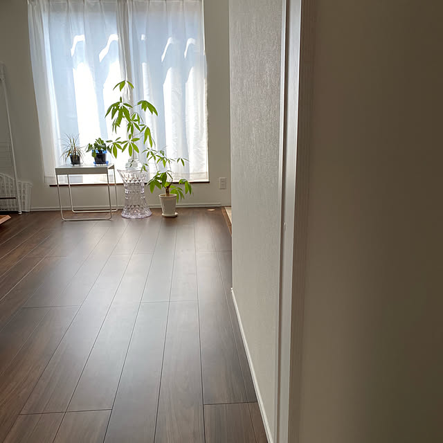 ayashigeさんの部屋