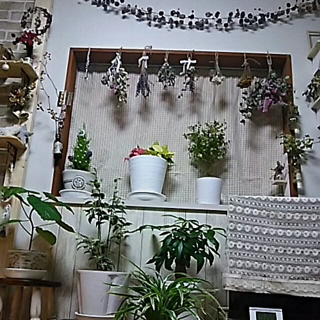 naopyiさんの実例写真