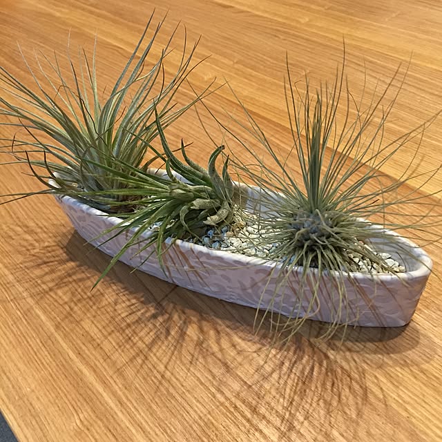 ma0516hoさんの実例写真