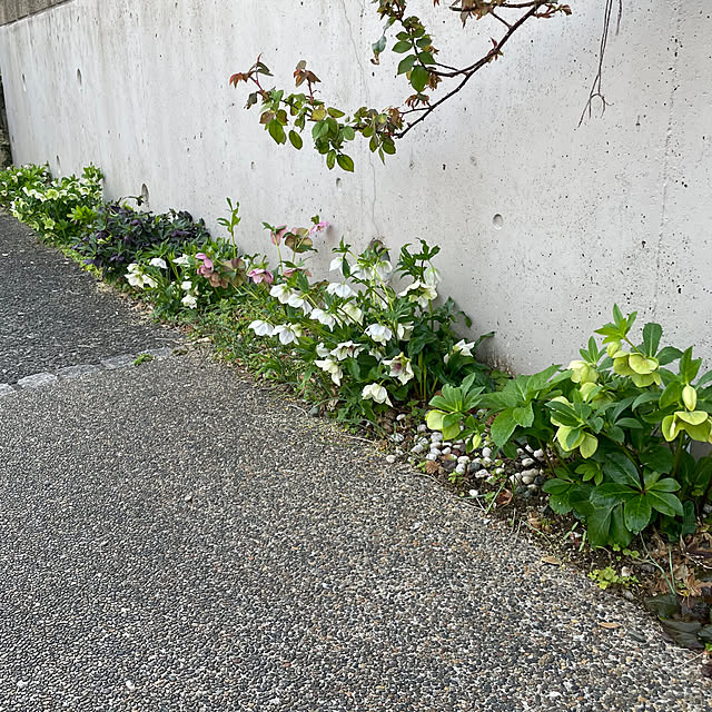 tenntennさんの部屋