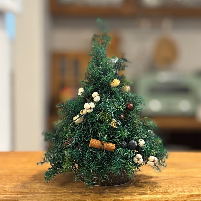 mameshibaさんの実例写真