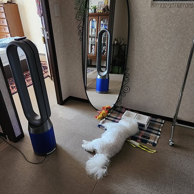 takoさんの実例写真