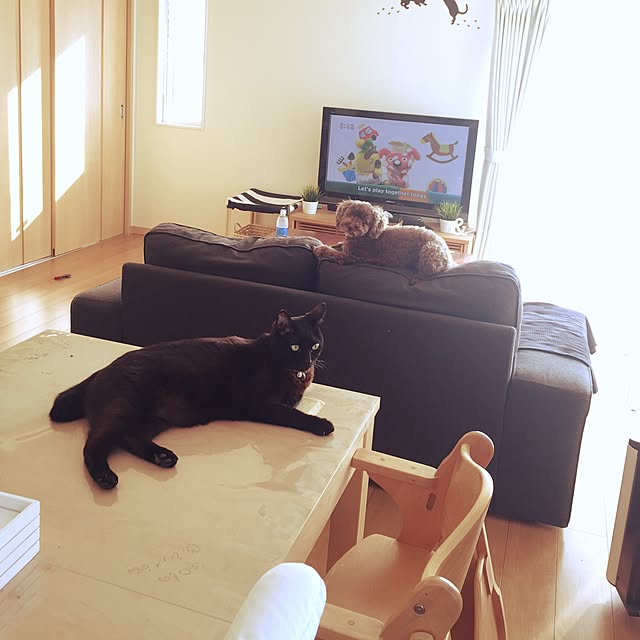 Kaoriさんの実例写真