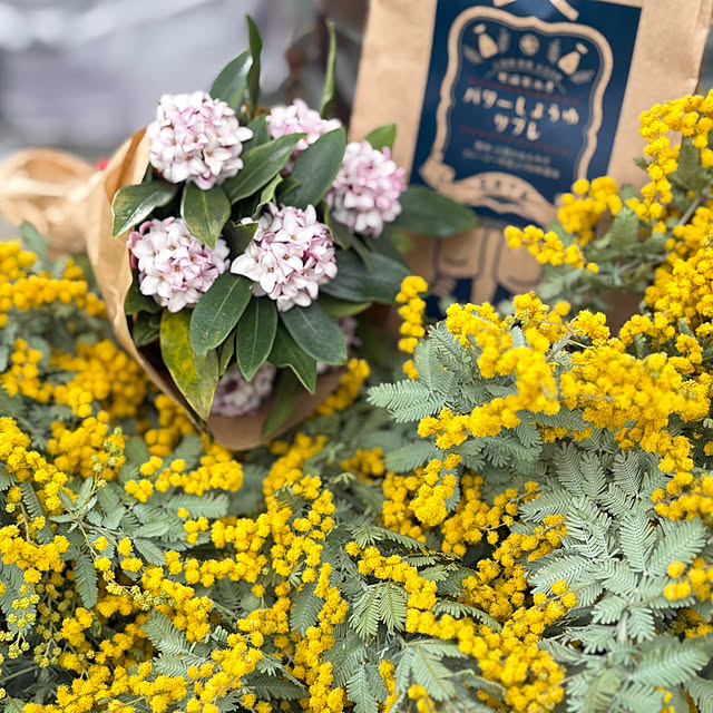 mayumiさんの部屋