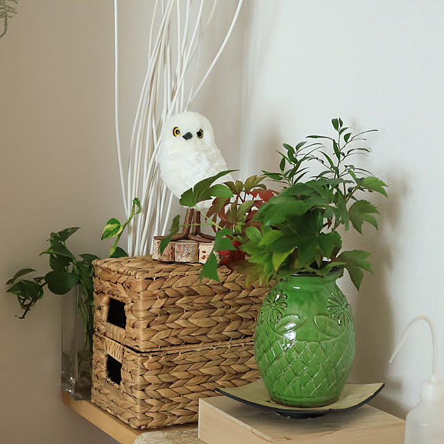 Summerさんの部屋