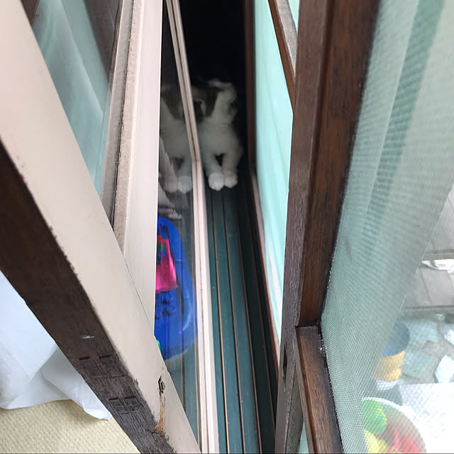 masakoさんの実例写真