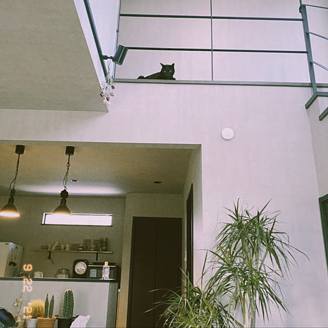 azk.121さんの実例写真