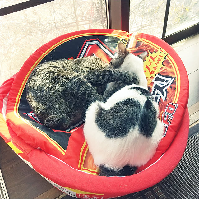 Mikaさんの実例写真