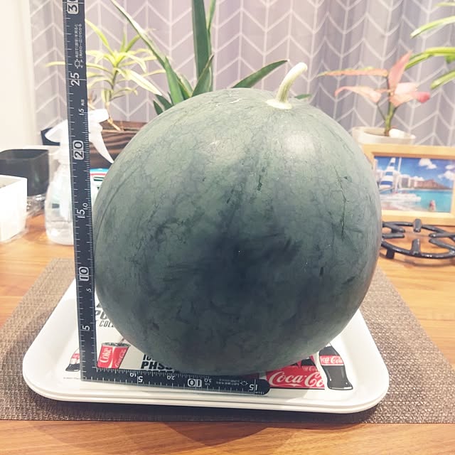 NAOKIさんの実例写真