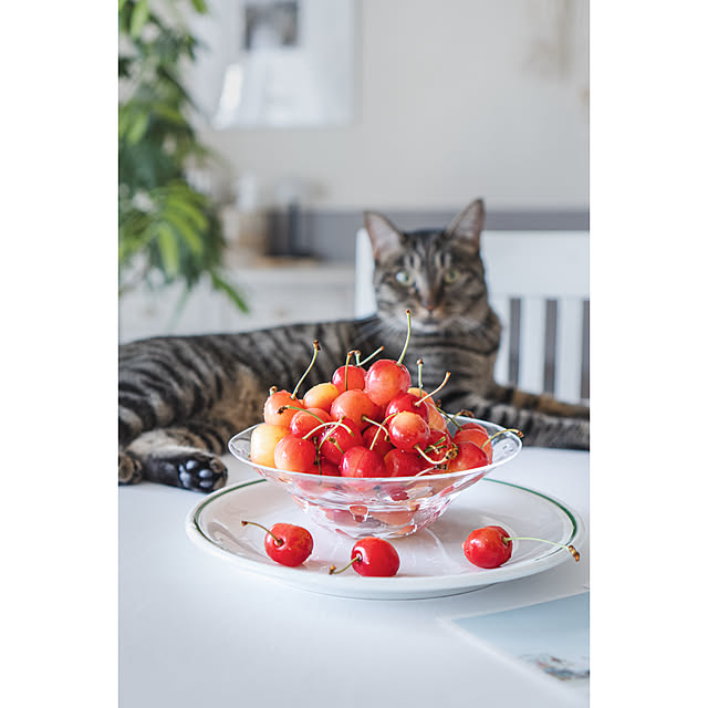 oliveさんの部屋